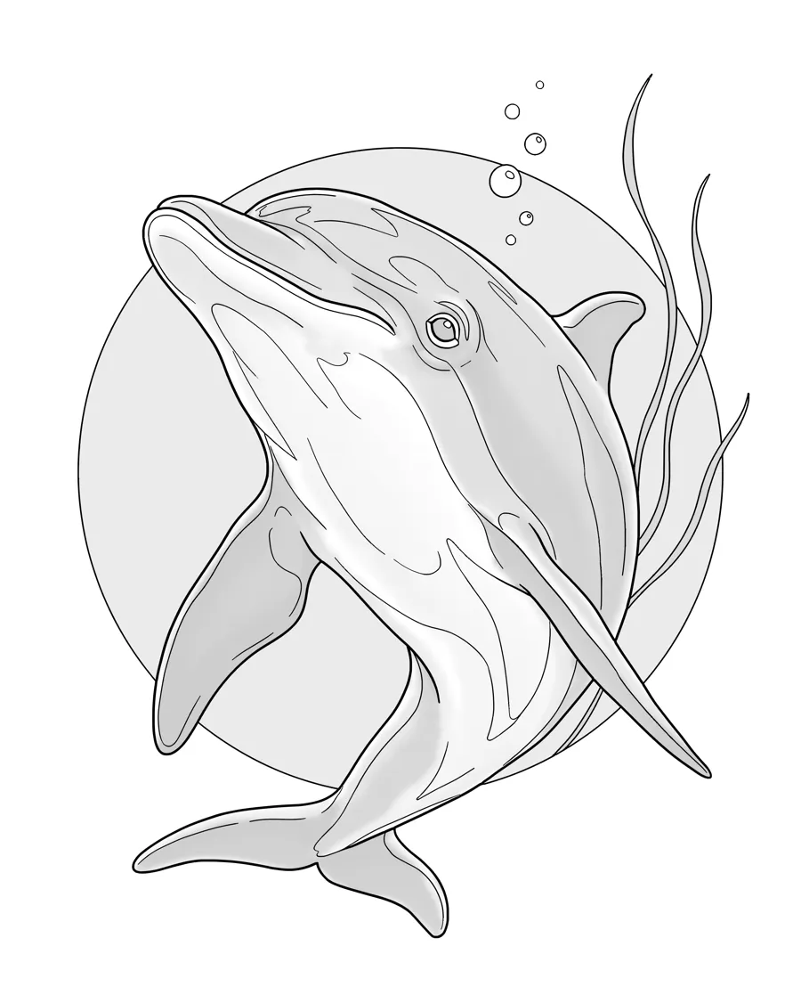 Dolphin as printed in the book: a line drawing with a light gray shading guide