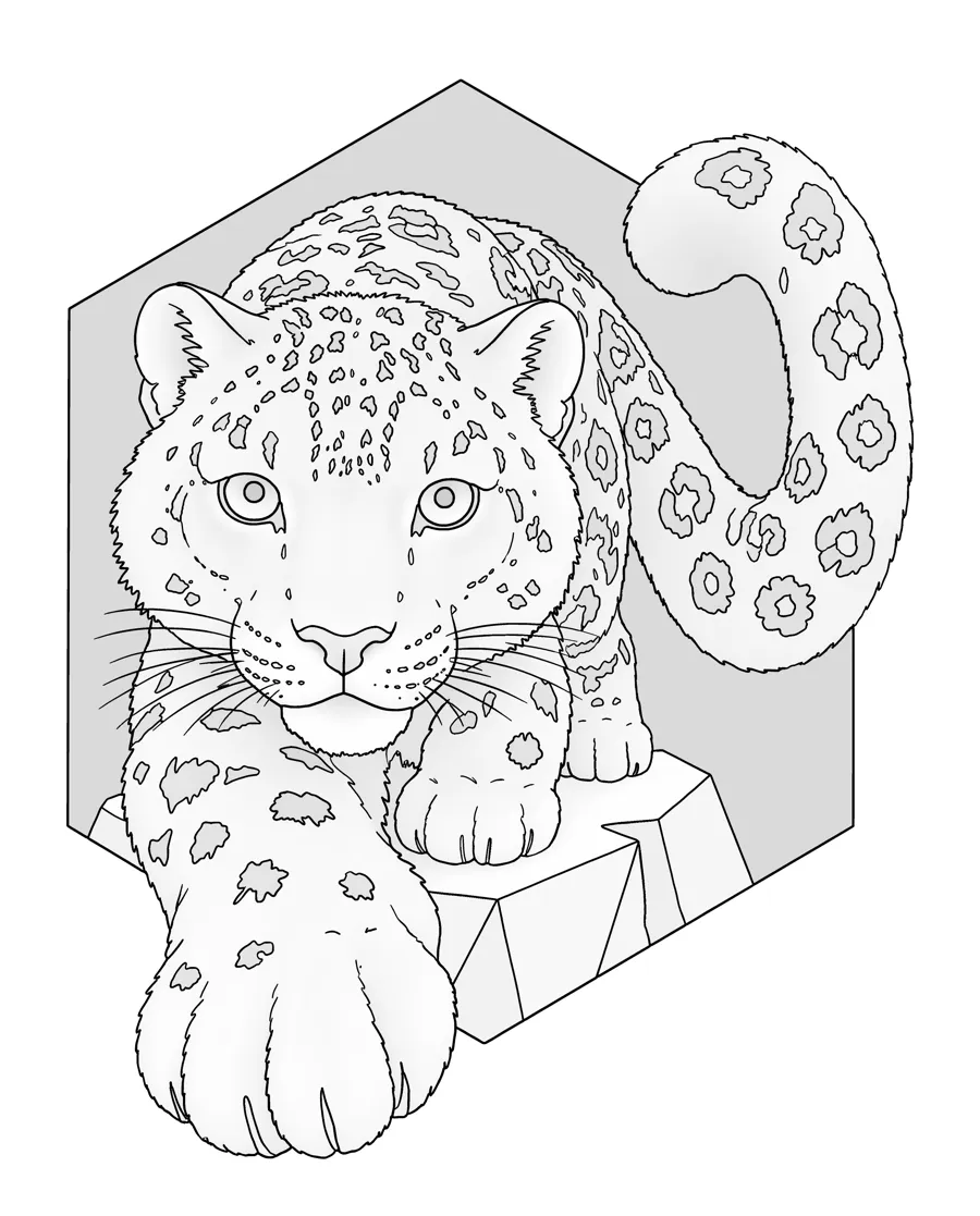 Snow leopard as printed in the book: a line drawing with a light gray shading guide
