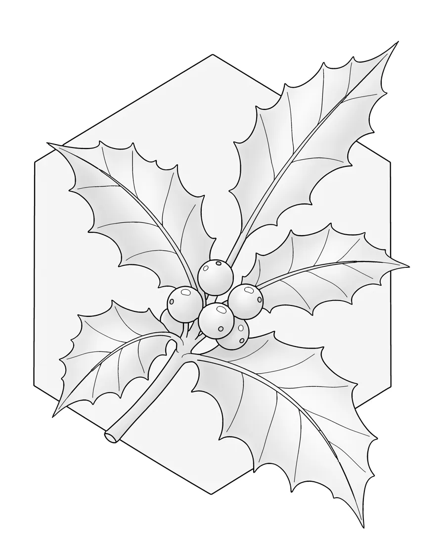 Holly sprig as printed in the book: a line drawing with a light gray shading guide