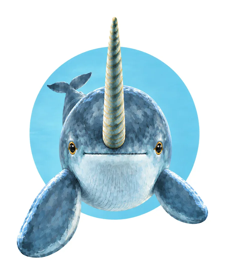 Narwhal color reference from Quiet Winter