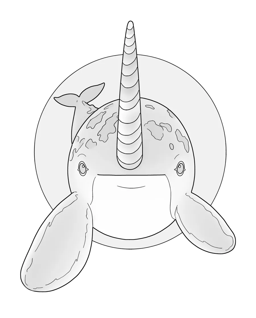 Narwhal as printed in the book: a line drawing with a light gray shading guide