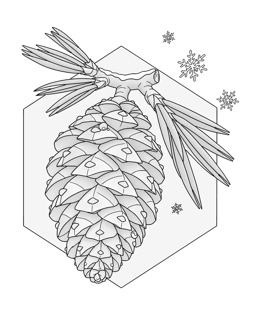 Pine cone and needles as printed in the book: a line drawing with a light gray shading guide