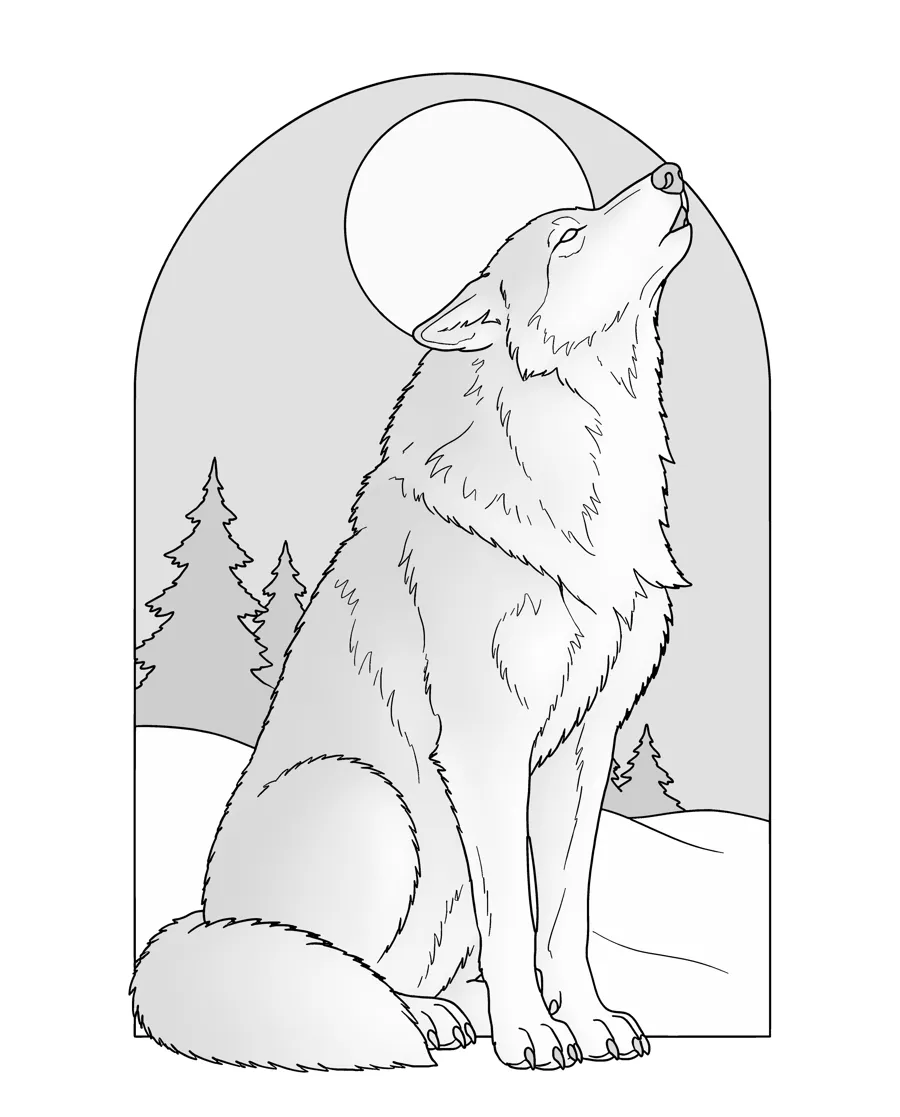 Gray wolf as printed in the book: a line drawing with a light gray shading guide
