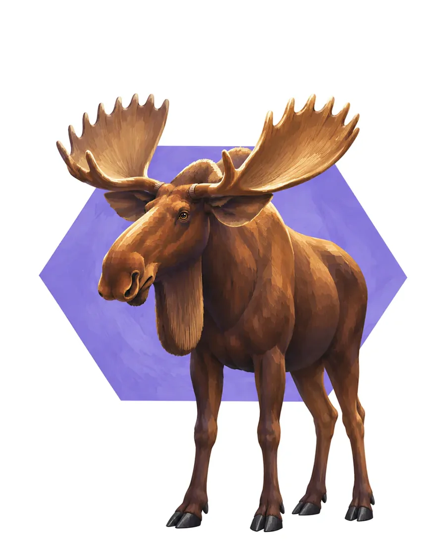 Moose color reference from Quiet Winter