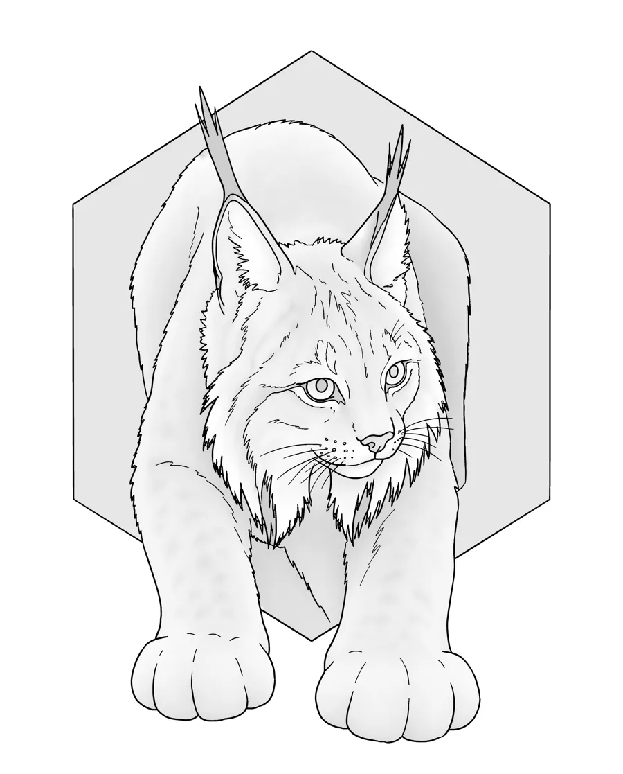 Lynx as printed in the book: a line drawing with a light gray shading guide