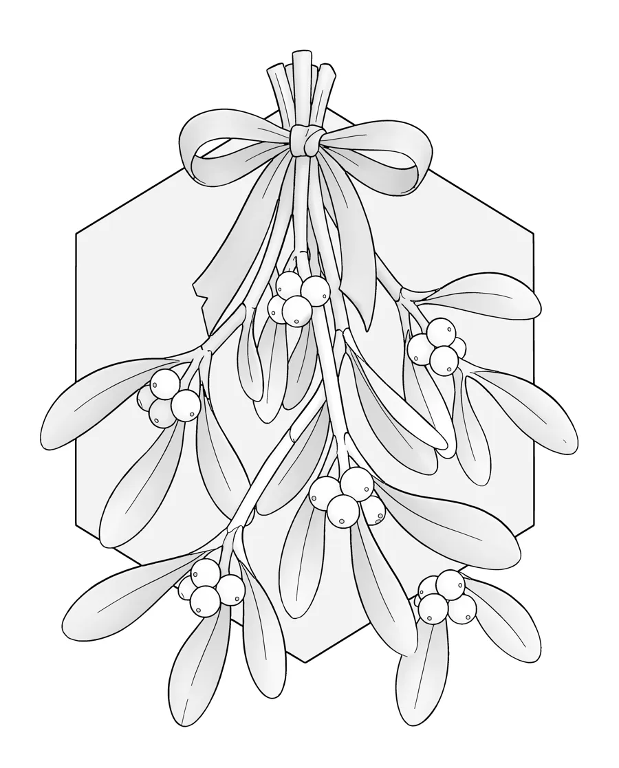 Mistletoe as printed in the book: a line drawing with a light gray shading guide