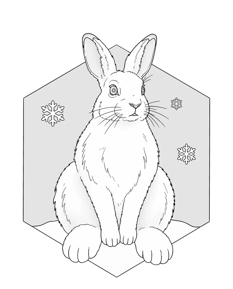 Snowshoe hare as printed in the book: a line drawing with a light gray shading guide