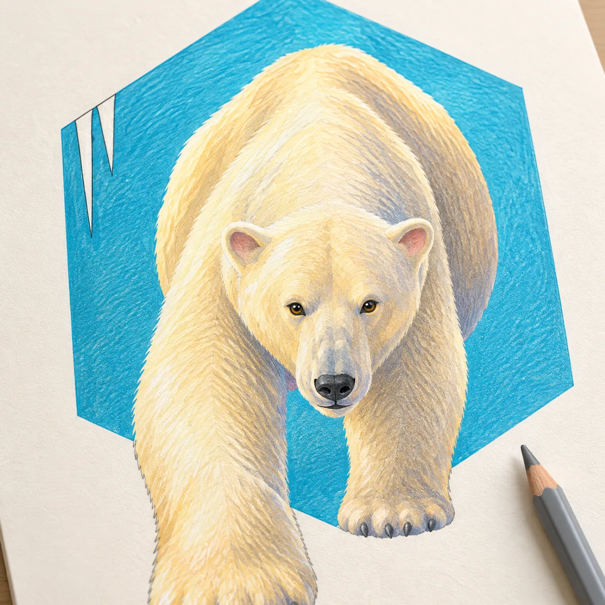 A colored polar bear walking forward out of a blue hexagon